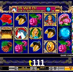 t111 Rio de Janeiro - Bonus Terms